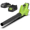 Greenworks 24 Volt Accu Bladblazer Met 2.0 Ah Accu En Lader -Makita || Husqvarna || Greenworks Verkoopwinkel 12315 0 800x800 1