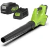 Greenworks 24 Volt Accu Bladblazer Met 4.0 Ah Accu En Lader -Makita || Husqvarna || Greenworks Verkoopwinkel 12316 0 800x800 1