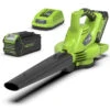 Greenworks Bladblazer/Zuiger 40V DIGIPRO Met 4.0Ah Accu En Lader -Makita || Husqvarna || Greenworks Verkoopwinkel 13556 0 800x800 1