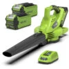 Greenworks Bladblazer/Zuiger 40V DIGIPRO Met 2x 2.0Ah Accu En Lader 1 Greenworks Bladblazer/Zuiger 40V DIGIPRO Met 2x 2.0Ah Accu En Lader -Makita || Husqvarna || Greenworks Verkoopwinkel 13558 0 800x800 1